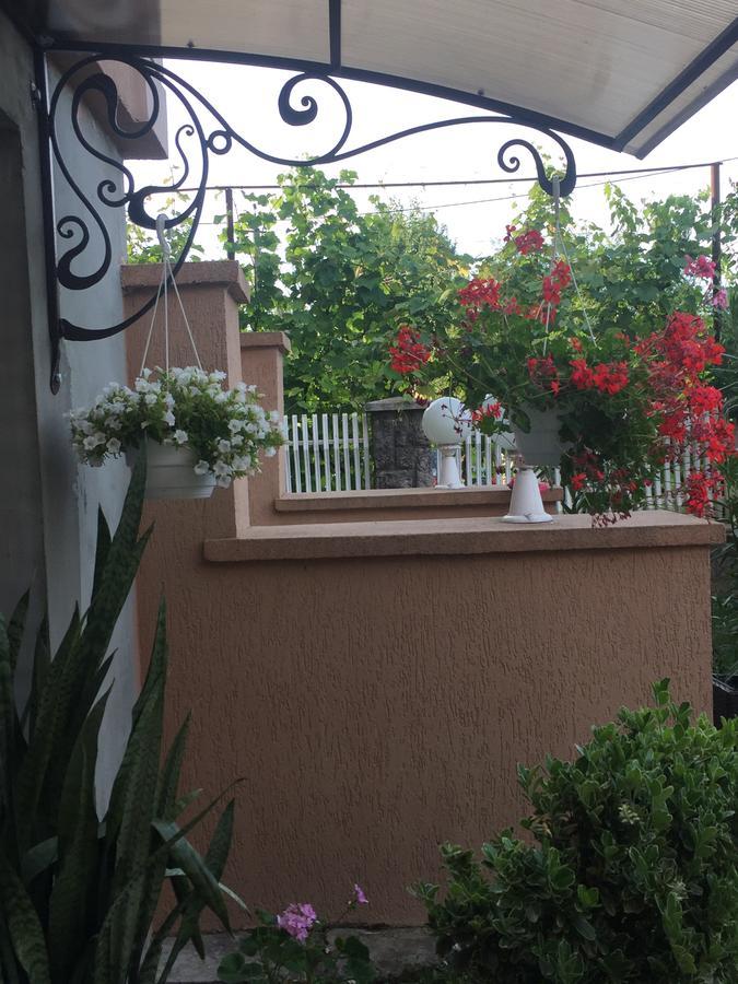 Private House Apartment Bereg Exterior foto