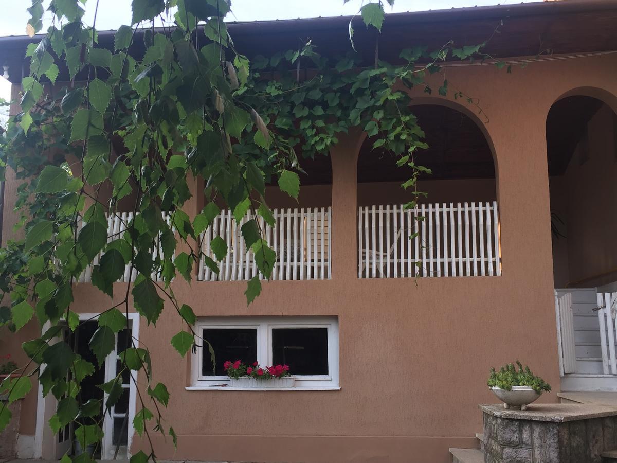 Private House Apartment Bereg Exterior foto